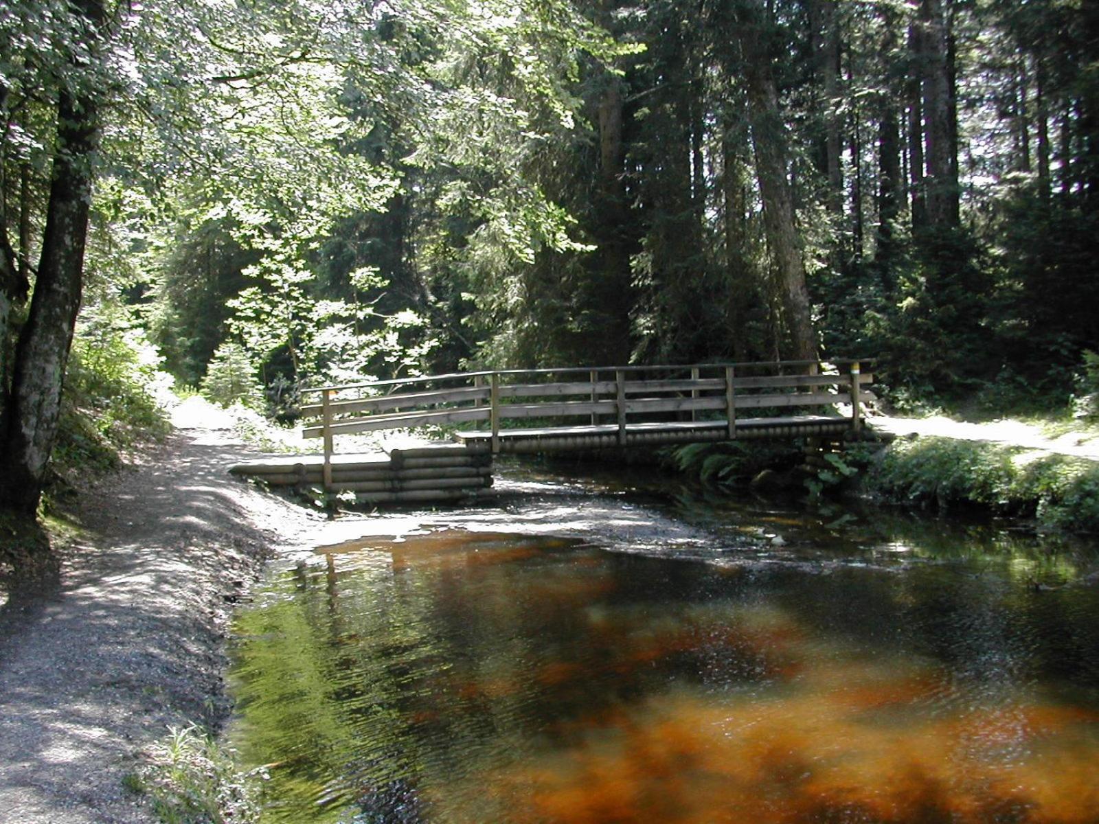 Hotel Marvia Schwarzenberg im Bregenzerwald Exteriér fotografie